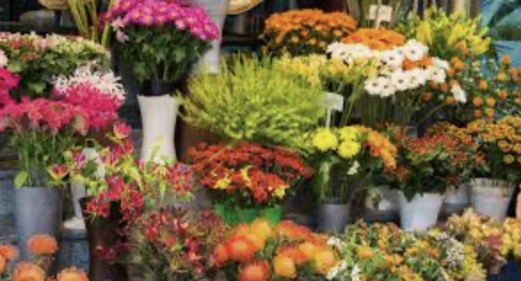 Fresh cut flowers held in a floral cooler