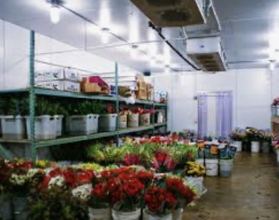 Inside a large floral walk-in cooler with shelving and a strip curtain